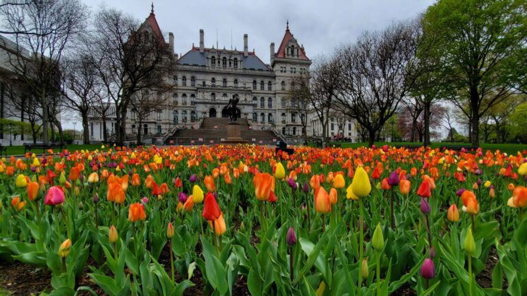 NYS Capitol Building