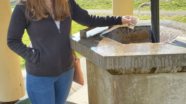 This one did not taste like egg-seltzer water. Mineral Springs