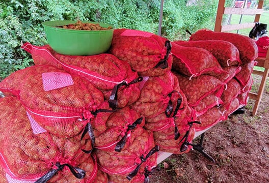 Our days harvest ready for 3BR Distillery Hops