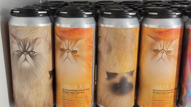 Finally ran into Lorenzo the Beer Cat cans, but we can't take any home :-( Lorenzo the Beer Cat