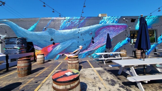 Andrew doing his best to impersonate a whale at Pilot Project Pilot Project